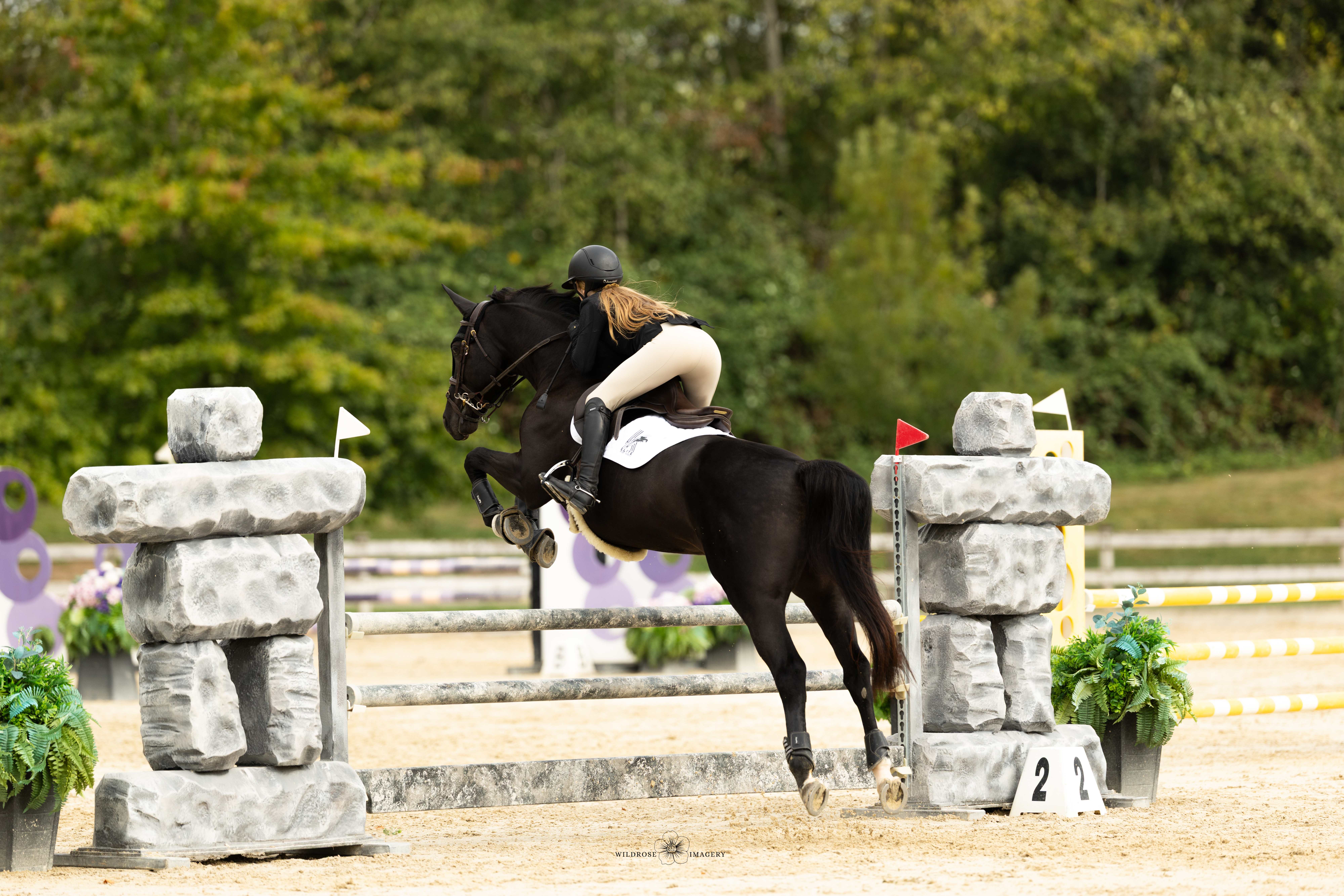 Equitation Stars